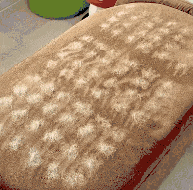 Removedor de pelos™