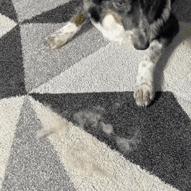 Removedor de pelos™